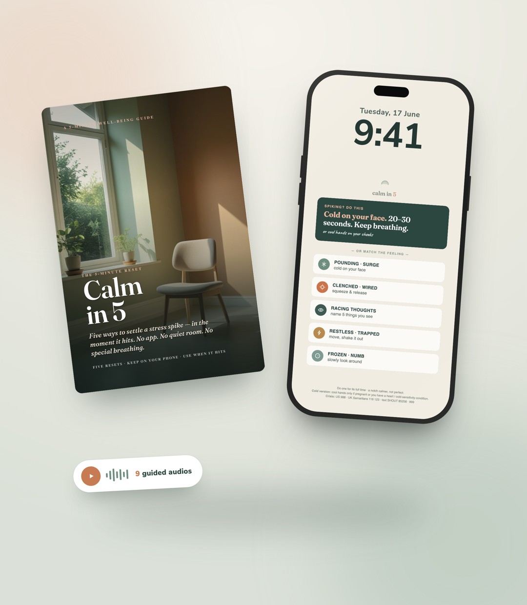 Calm in 5 — the full kit: the 5-Minute Reset guide, 9 guided audios, and the Reset Card on your phone lock-screen